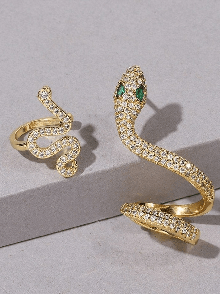 Snake Pattern and Rhinestone Earrings